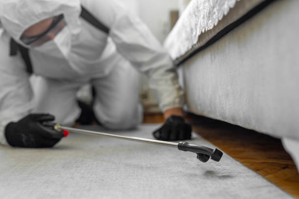 Professional Cockroach Control technician working in St. Georges, DE
