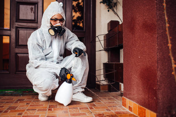 Reliable Cockroach Control contractor in St. Georges, DE by Nex Pest Control